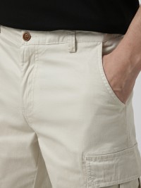 Шорты мужские Evoids Fern бежевые 482604-125 изображение 4