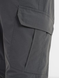 Брюки мужские Radder Royan серые 382304-011 изображение 4