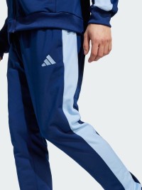 Костюм чоловічий Adidas M TR CB TS синій JI8898 изображение 6