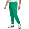 Штани чоловічі Nike M NK CLUB FT CUFF PANT BOLT зелені FZ0766-365