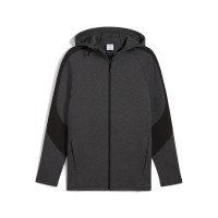 Толстовка мужская Puma EVOSTRIPE Core FZ Hoodie графитовая 63152907 изображение 1