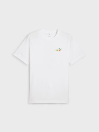 Футболка мужская Puma GRAPHICS PUMA Back Tee белая 68483202 изображение 5