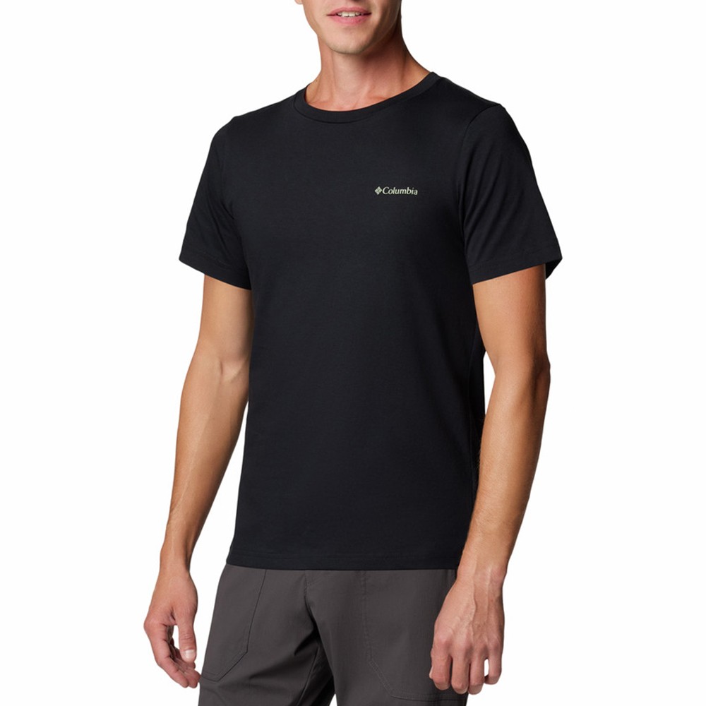 Футболка мужская Columbia Rapid Ridge™ Back Graphic Tee II черная 1934821-004 изображение 1