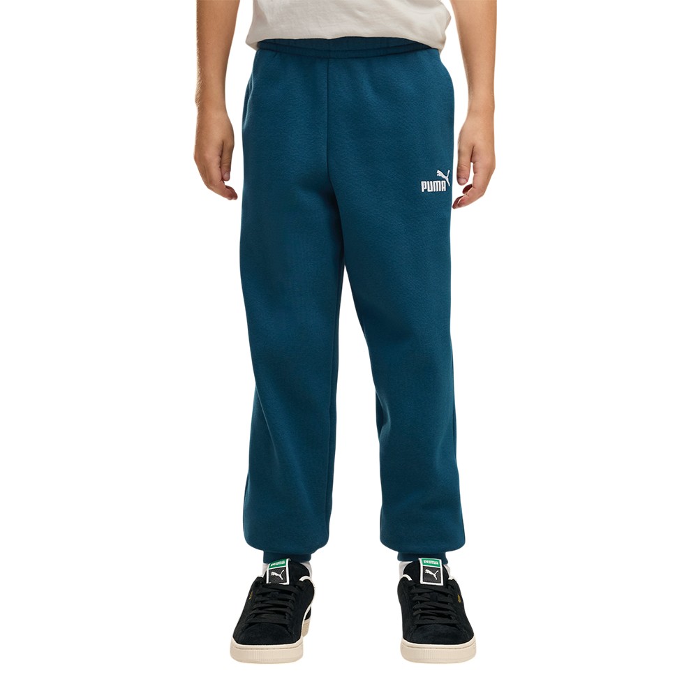 Брюки детские Puma ESS No. 1 Logo Sweatpants FL B зеленые 68491236