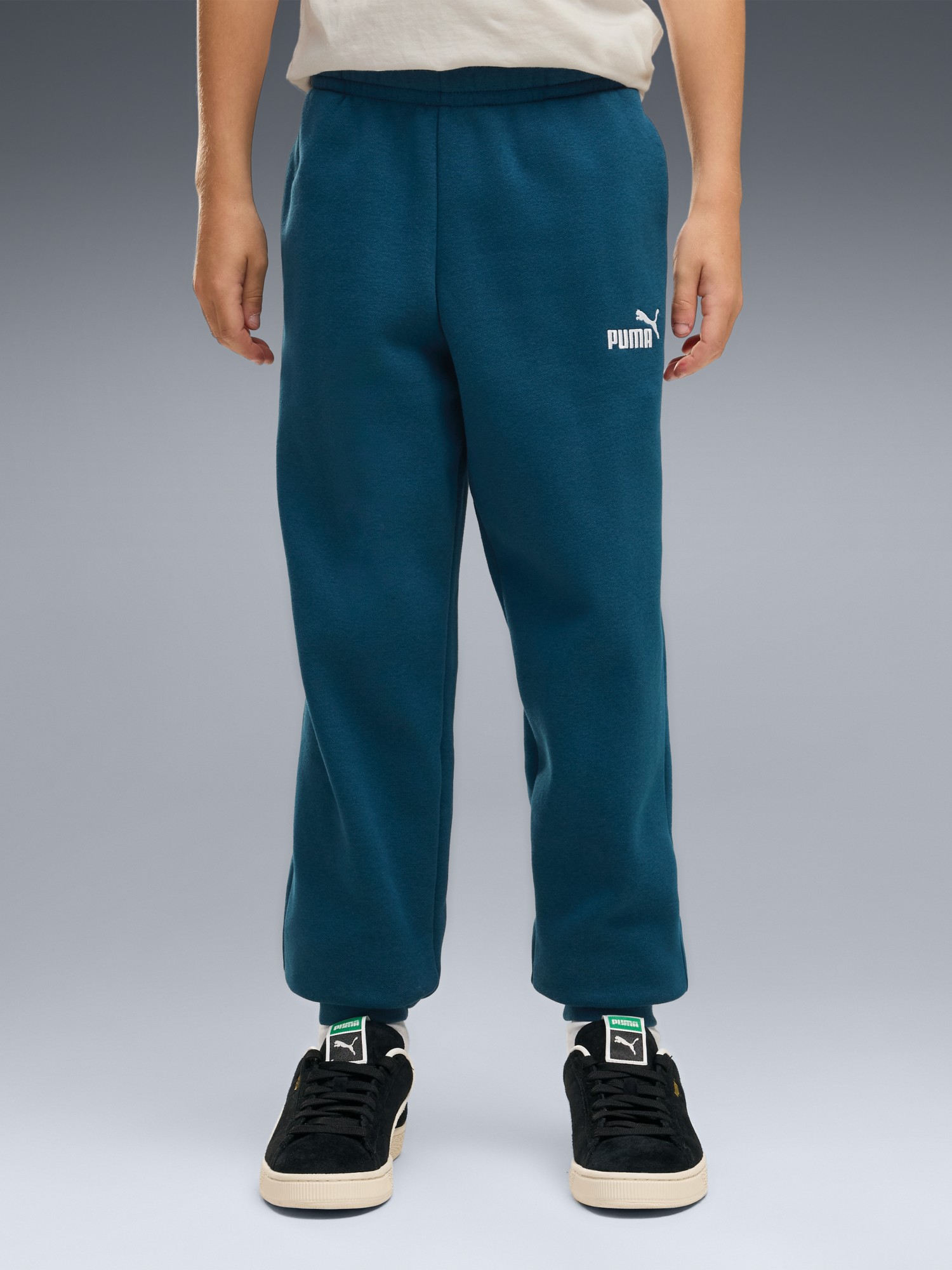 Брюки детские Puma ESS No. 1 Logo Sweatpants FL B зеленые 68491236 изображение 2