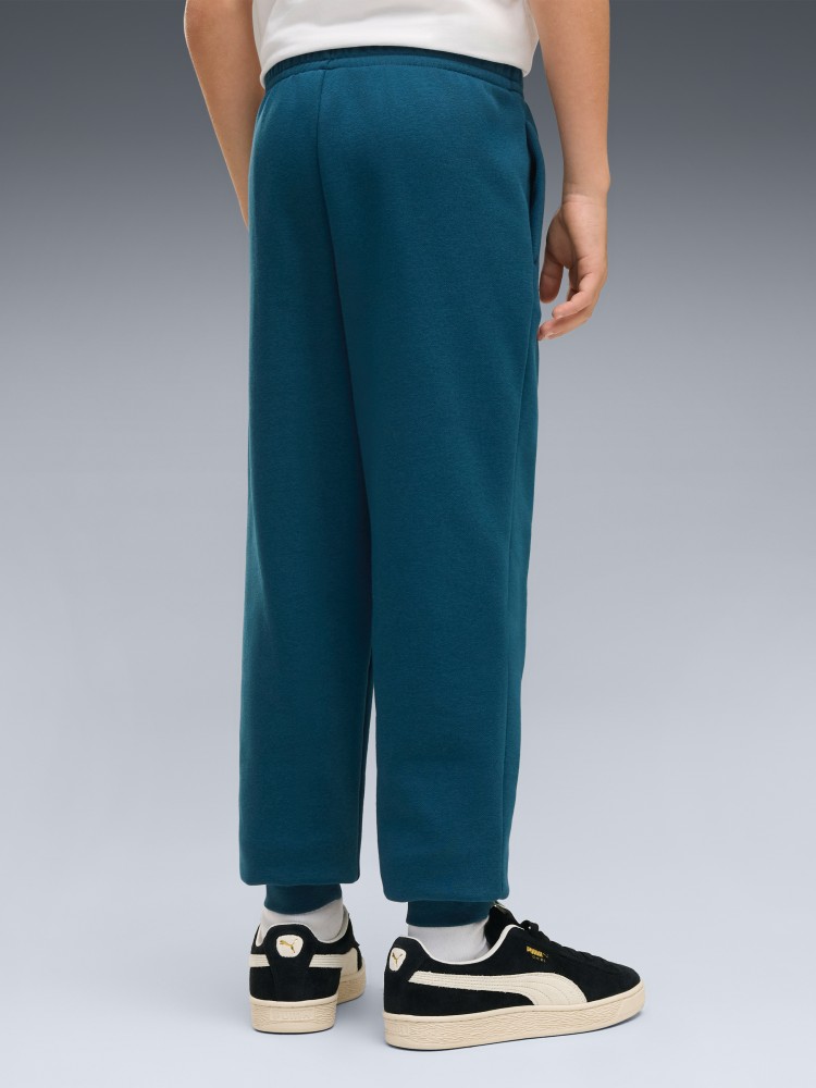 Брюки детские Puma ESS No. 1 Logo Sweatpants FL B зеленые 68491236 изображение 3