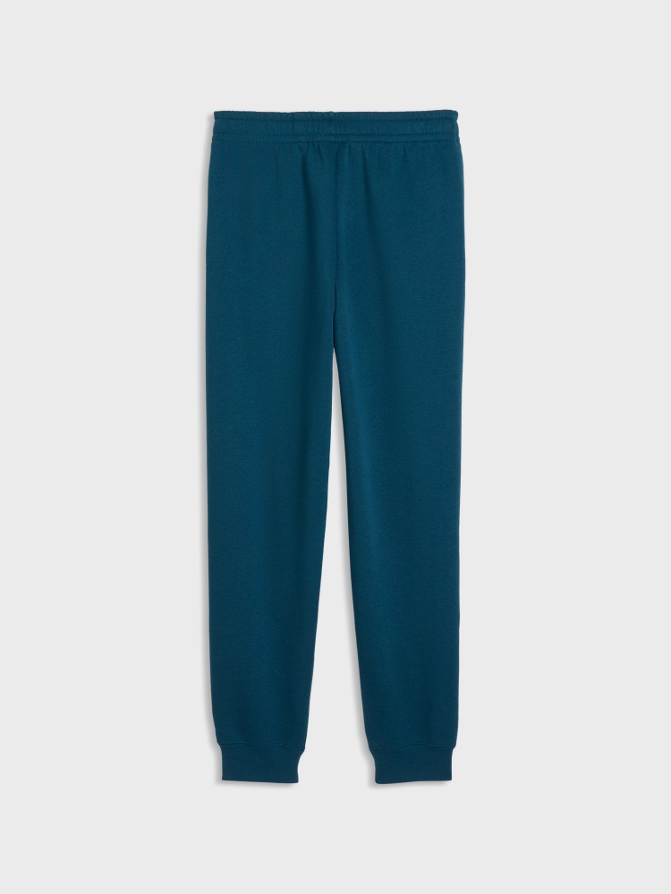 Брюки детские Puma ESS No. 1 Logo Sweatpants FL B зеленые 68491236 изображение 6