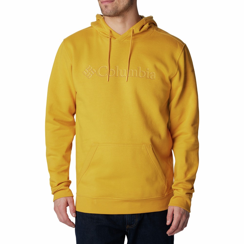 Худи мужское Columbia CSC Basic Logo™ II Hoodie оранжевое 1681661-756 изображение 1