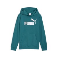 Толстовка дитяча Puma ESS No. 1 Logo Hoodie TR B зелена 68490941 изображение 1