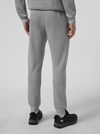 Брюки мужские Radder Cravix серые 122619-011 изображение 3