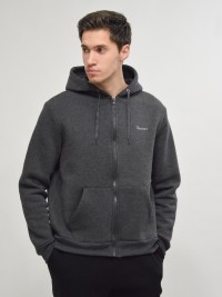 Толстовка чоловіча Radder Rico сіра 482101-020 изображение 2