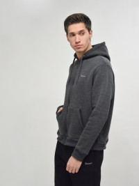 Толстовка чоловіча Radder Rico сіра 482101-020 изображение 3