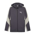 Толстовка чоловіча Puma EVOSTRIPE Full-Zip Hoodie DK сіра 68170069