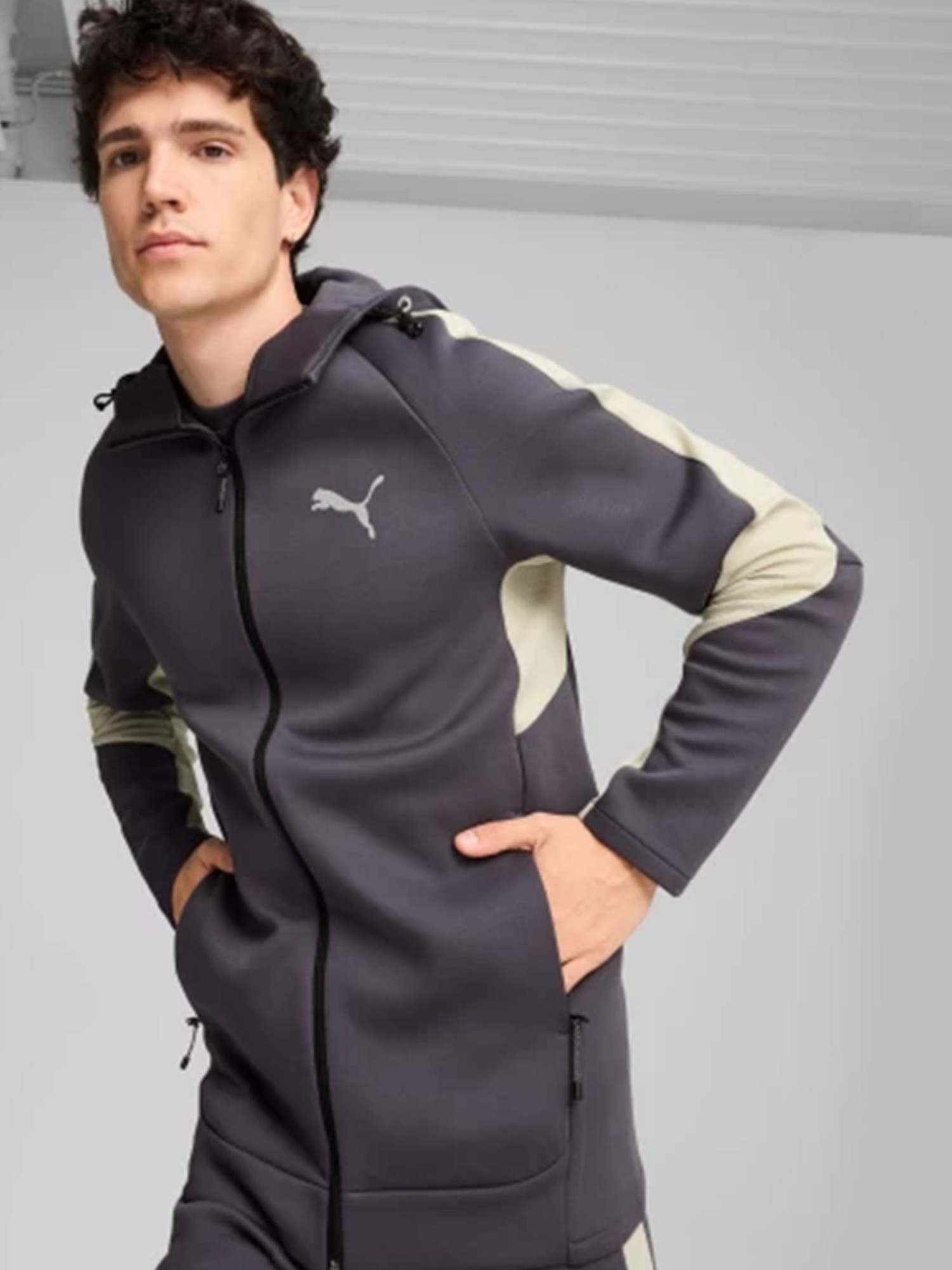 Толстовка мужская Puma EVOSTRIPE Full-Zip Hoodie DK серая 68170069 изображение 2
