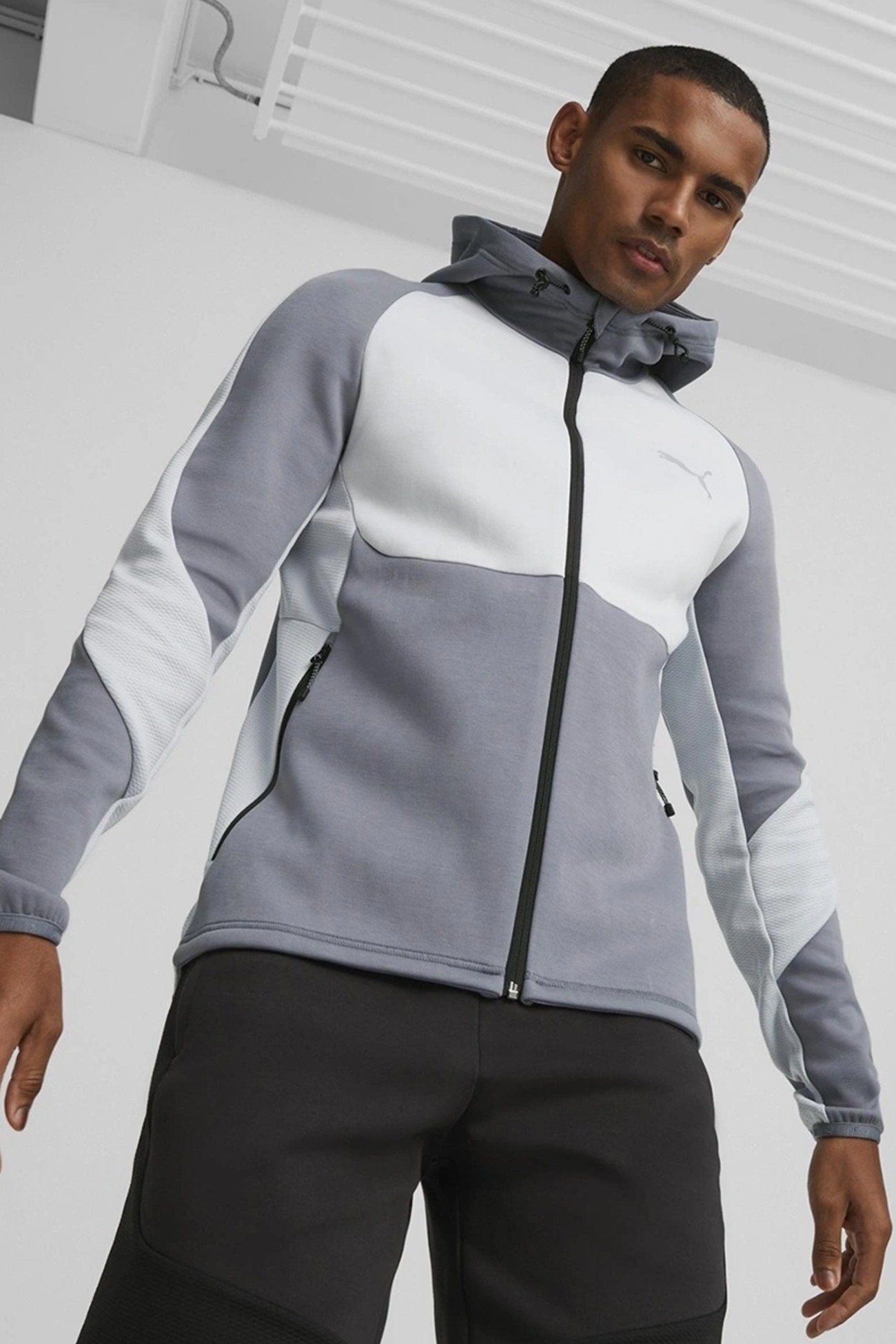 Толстовка мужская Puma EVOSTRIPE Full-Zip Hoodie серая 67331369 изображение 2