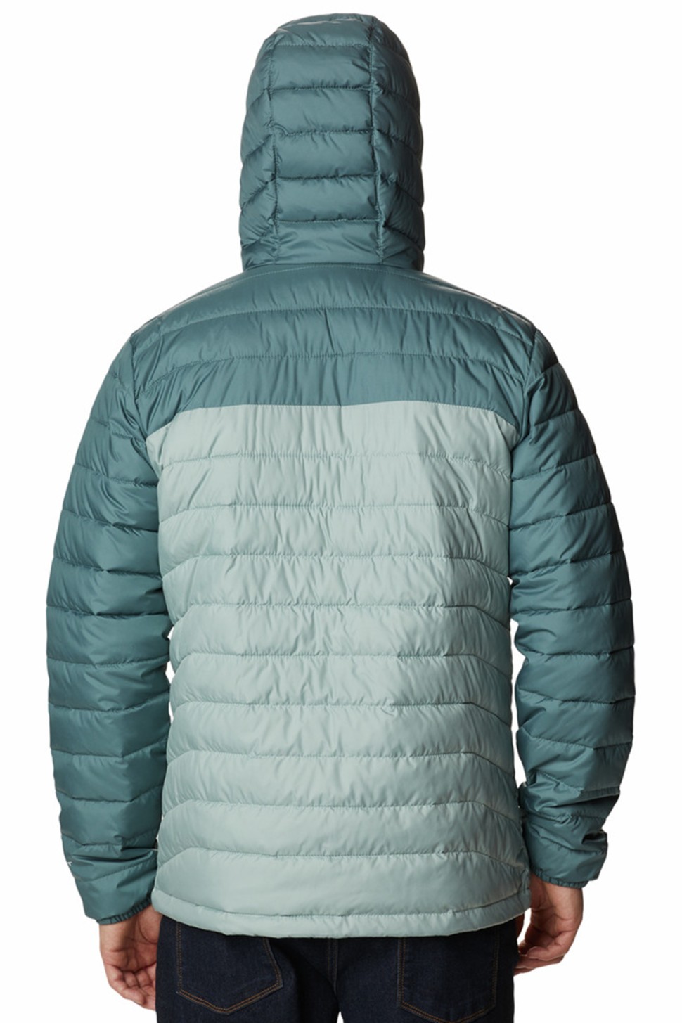 Куртка чоловіча Columbia Powder Lite™ Hooded Jacket зелена 1693931-350 — фото 3