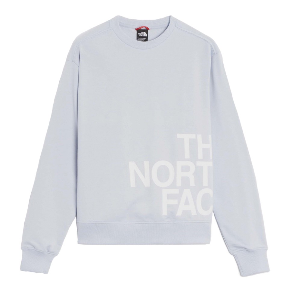 Толстовка жіноча The North Face W BLOWN UP LOGO блакитна NF0A8545I0E1 — фото 1