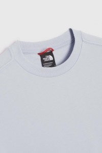 Толстовка женская The North Face W BLOWN UP LOGO голубая NF0A8545I0E1 изображение 3