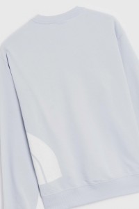 Толстовка женская The North Face W BLOWN UP LOGO голубая NF0A8545I0E1 изображение 4