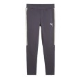 Штани чоловічі Puma EVOSTRIPE Pants DK сірі 68170269