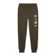 Штани чоловічі Puma PUMA POWER Graphic Sweatpants FL cl оливкові 68174270