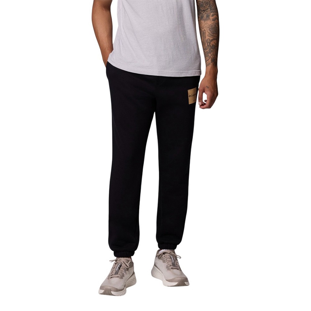Брюки мужские Columbia Beaumount™ Jogger черные 2126401-008