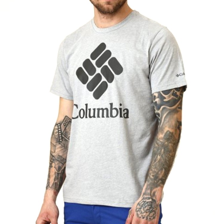 Футболка мужская Columbia Warren Grove ™ Tee серая 1872711-042 изображение 1