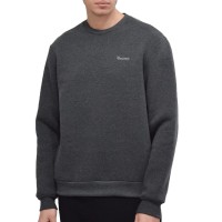 Світшот чоловічий Radder Rico сірий 482102-020 изображение 1