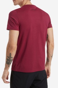 Футболка мужская Demix T-shirt бордовая 113627-R4 изображение 3