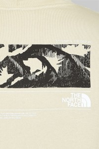 The North Face NF0A7X2G3X41 Худі чоловічий M COORDINATES HOODIE изображение 5