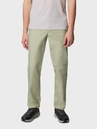 Брюки мужские Columbia Washed Out™ Pant хаки 1657741-348 изображение 2