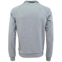Толстовка чоловіча Radder сіра J88514-011  изображение 2