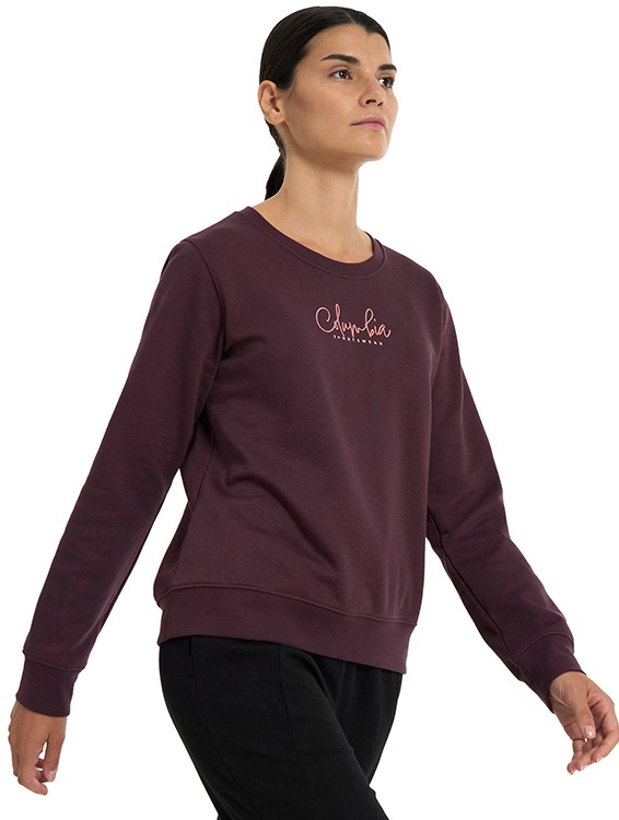 Джемпер женский Columbia Beaumount™ Graphic Crew бордовый 2126411-607 изображение 3