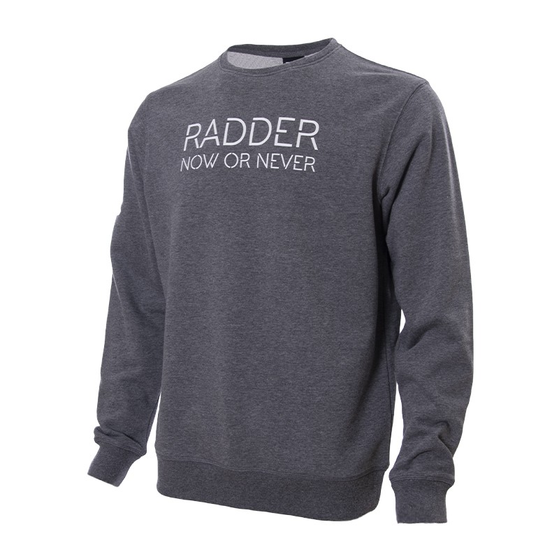 Толстовка мужская Radder Crest серая 220045-020 изображение 1