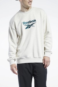 Толстовка чоловіча Reebok Cl F Vector Crew біла GS9132 изображение 2