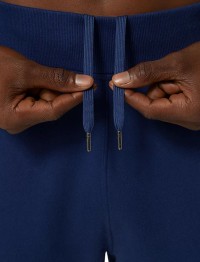 Брюки мужские Asics ASICS LOGO SWEATPANT синие 2031E189-404 изображение 6
