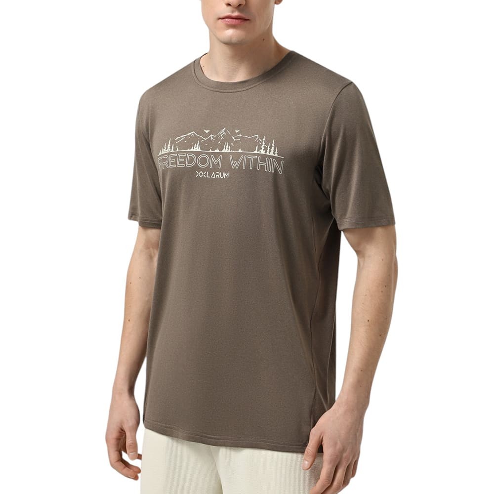 Футболка мужская Larum Dylan коричневая 942501-200 изображение 1