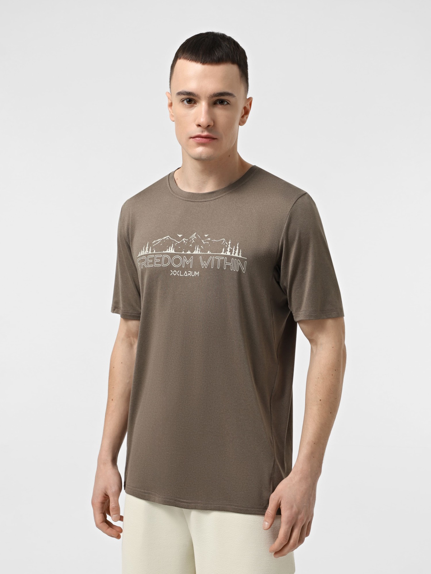 Футболка мужская Larum Dylan коричневая 942501-200 изображение 2