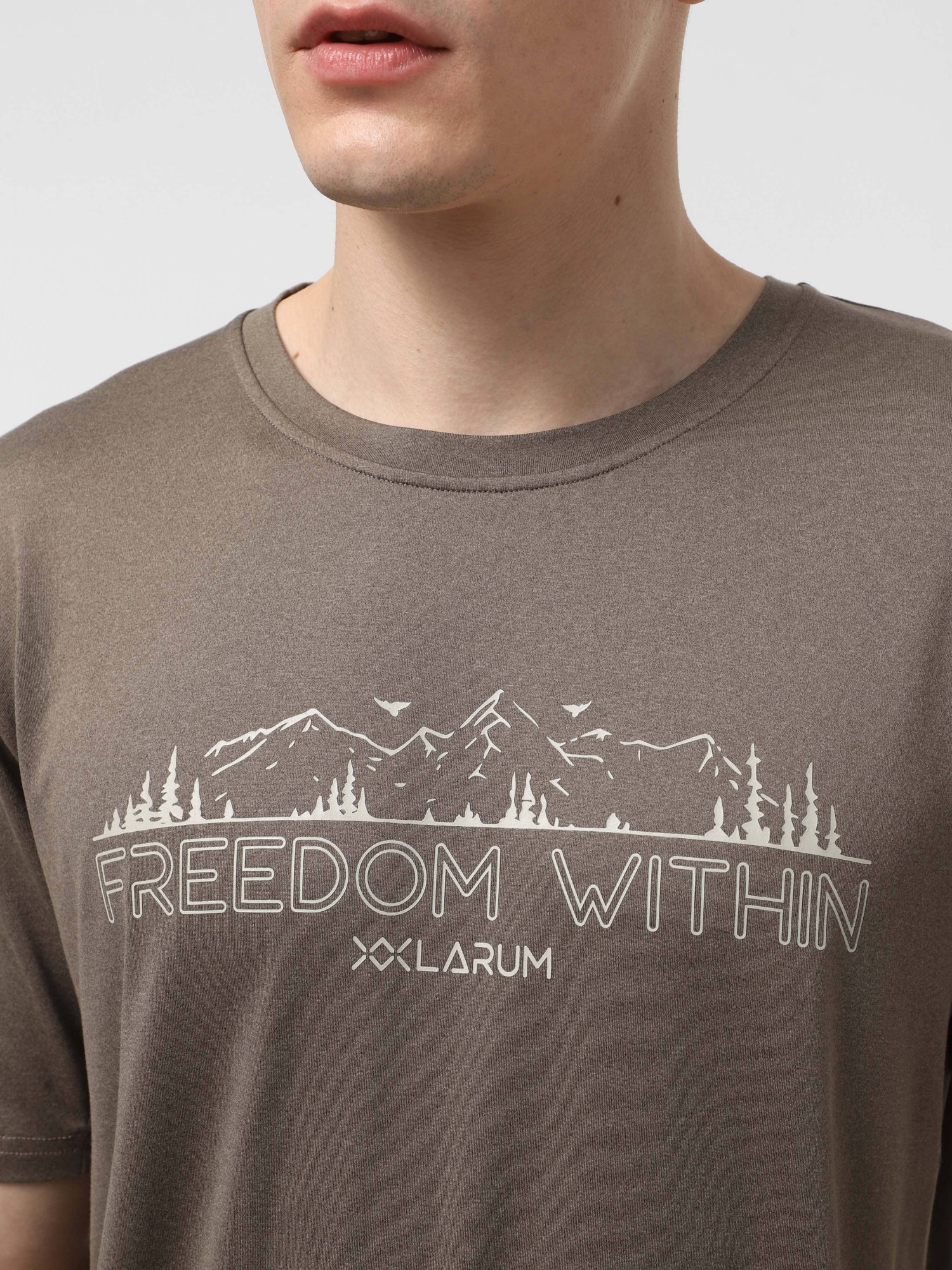 Футболка мужская Larum Dylan коричневая 942501-200 изображение 4