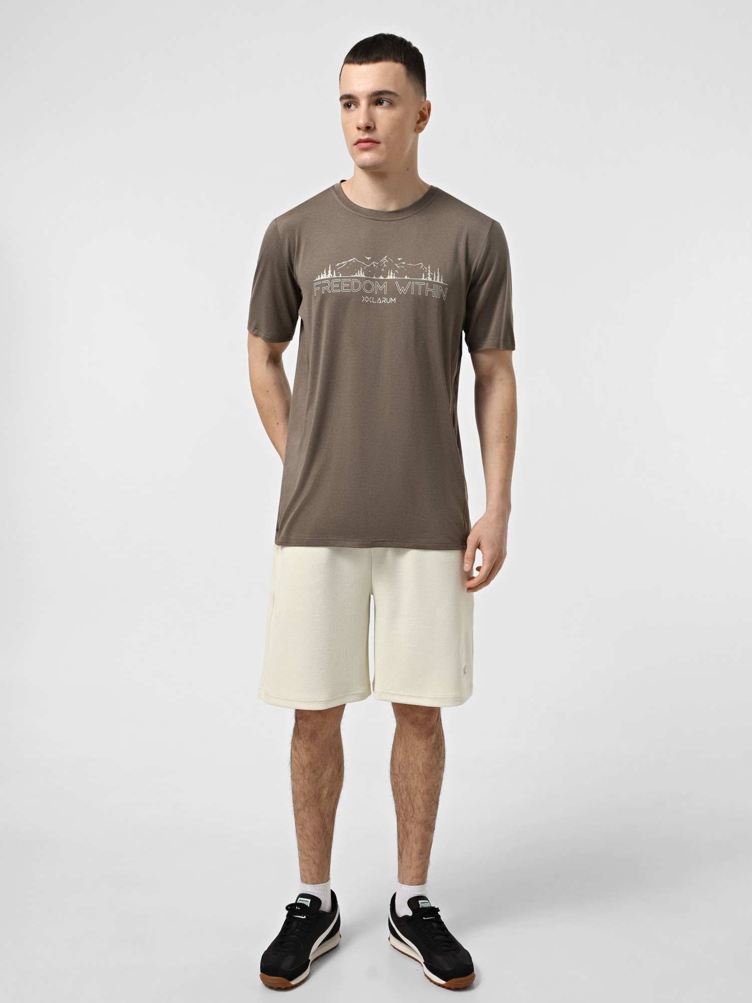 Футболка мужская Larum Dylan коричневая 942501-200 изображение 6