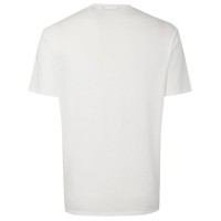 Футболка мужская ONeill белая 0A2330-1030 изображение 2
