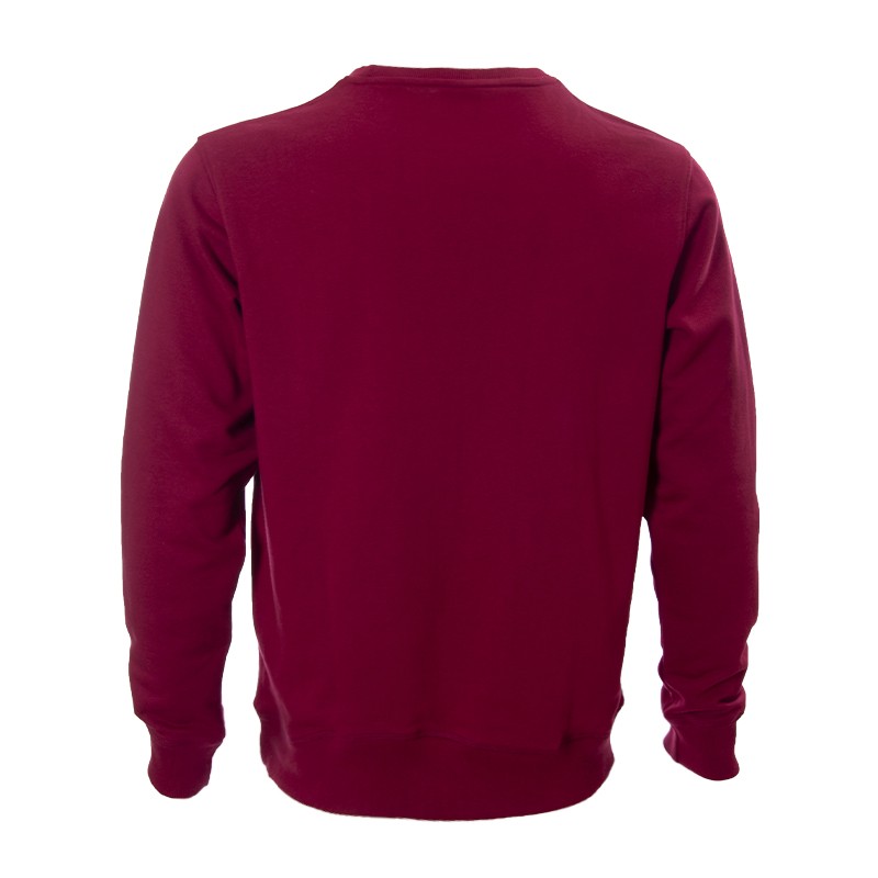 Толстовка чоловіча Radder Talon бордова 220047-680 изображение 3