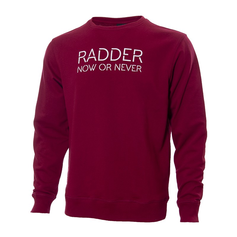 Толстовка мужская Radder Talon бордовая 220047-680 изображение 1