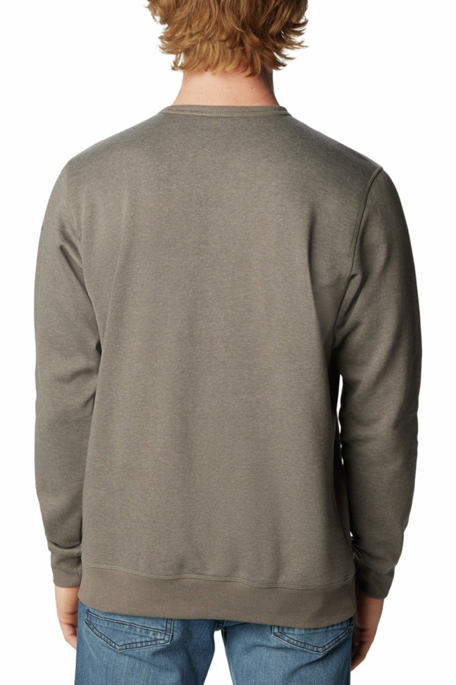 Джемпер чоловічий Columbia Logo Fleece Crew сірий 1884931-028 изображение 5
