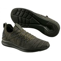 Кроссовки мужские Puma IGNITE Flash evoKNIT серые 19050804 изображение 2