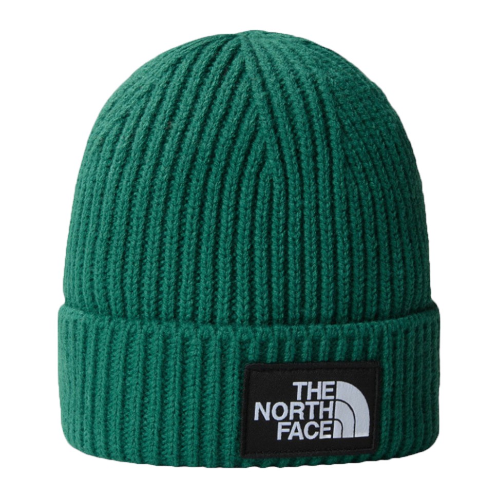 Шапка The North Face Logo Box Cuffed зелена NF0A3FJXNL11 — фото 1
