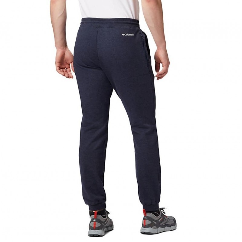 Брюки мужские Columbia Lodge Jogger синие 1861771-464 изображение 2