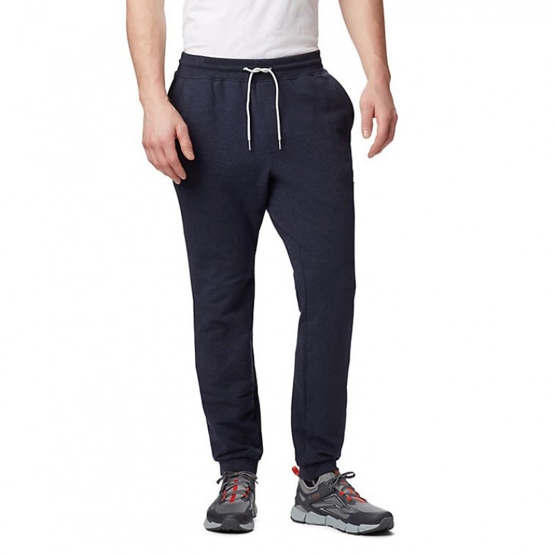 Брюки мужские Columbia Lodge Jogger синие 1861771-464 изображение 1