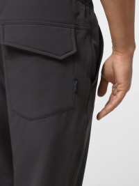 Брюки мужские Radder Lentro серые 782513-011 изображение 5