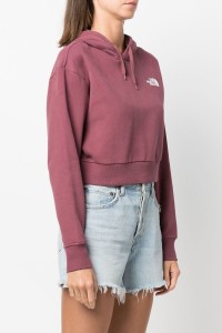 The North Face NF0A5ICY6R41 Худі жіночаий W TREND CROP HOODIE изображение 3
